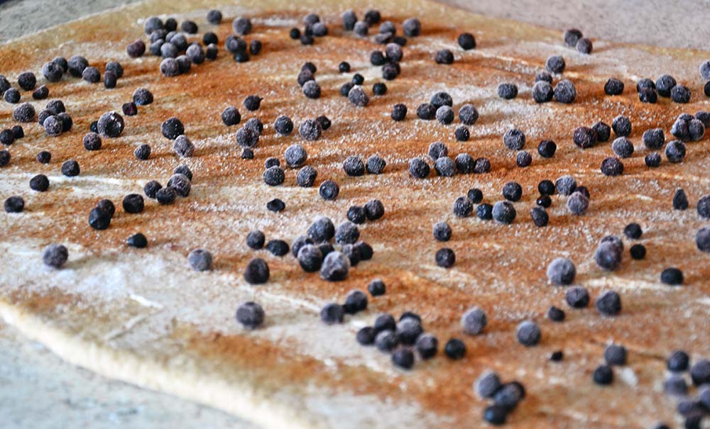 Blueberry buns