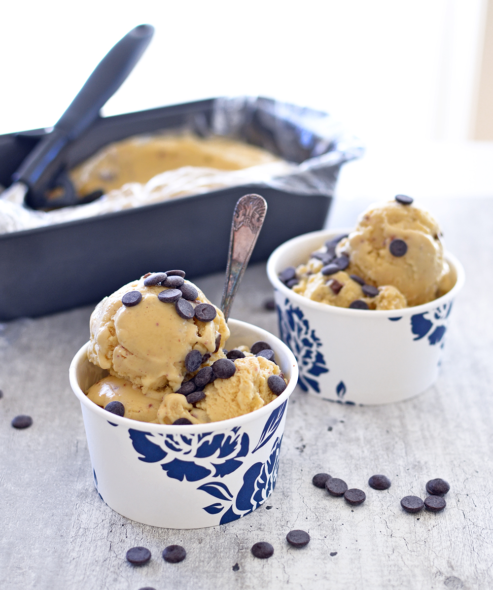 Chocolate chip protein ice cream